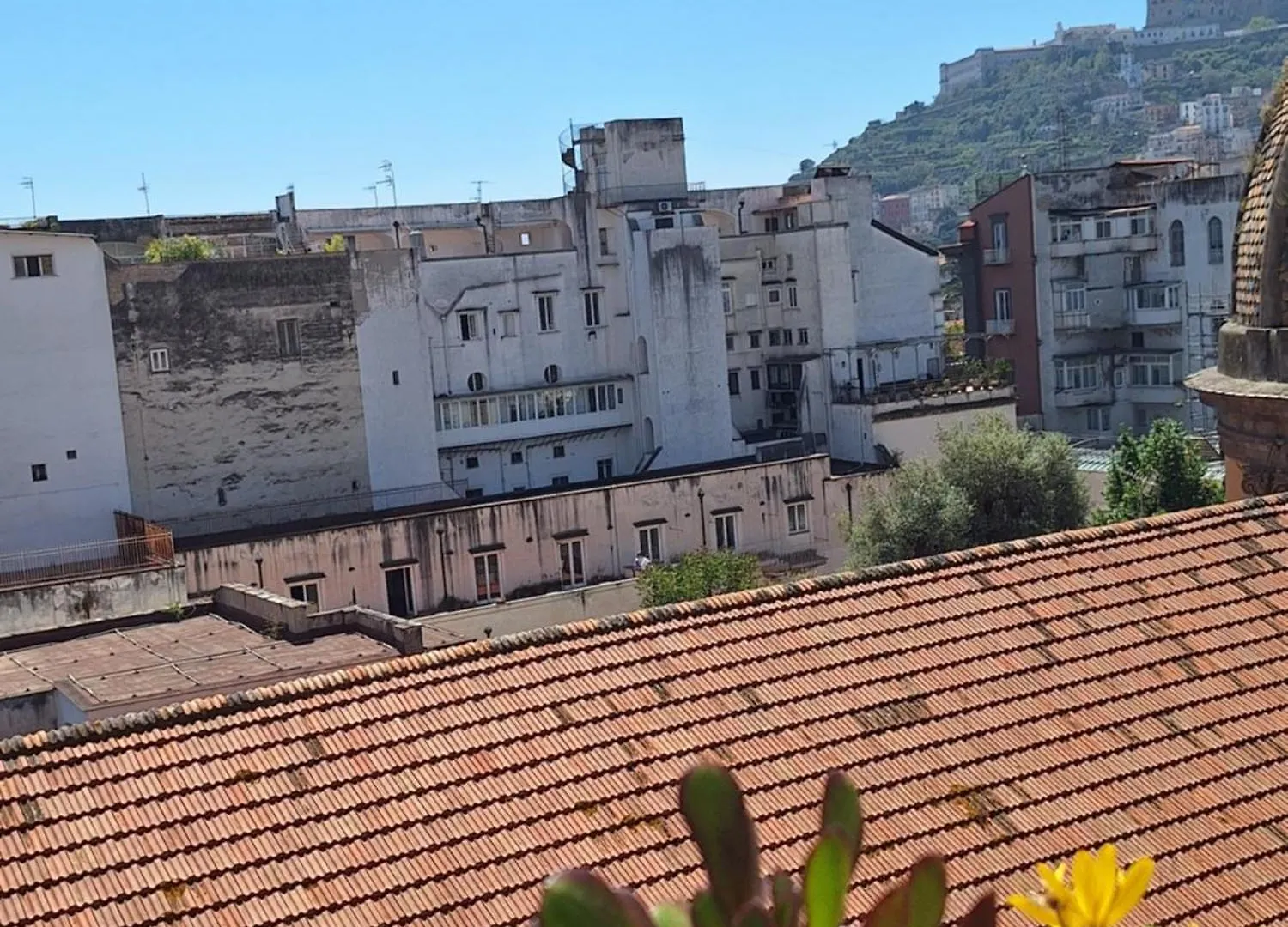 B&B Museum Naples Bed & Breakfast